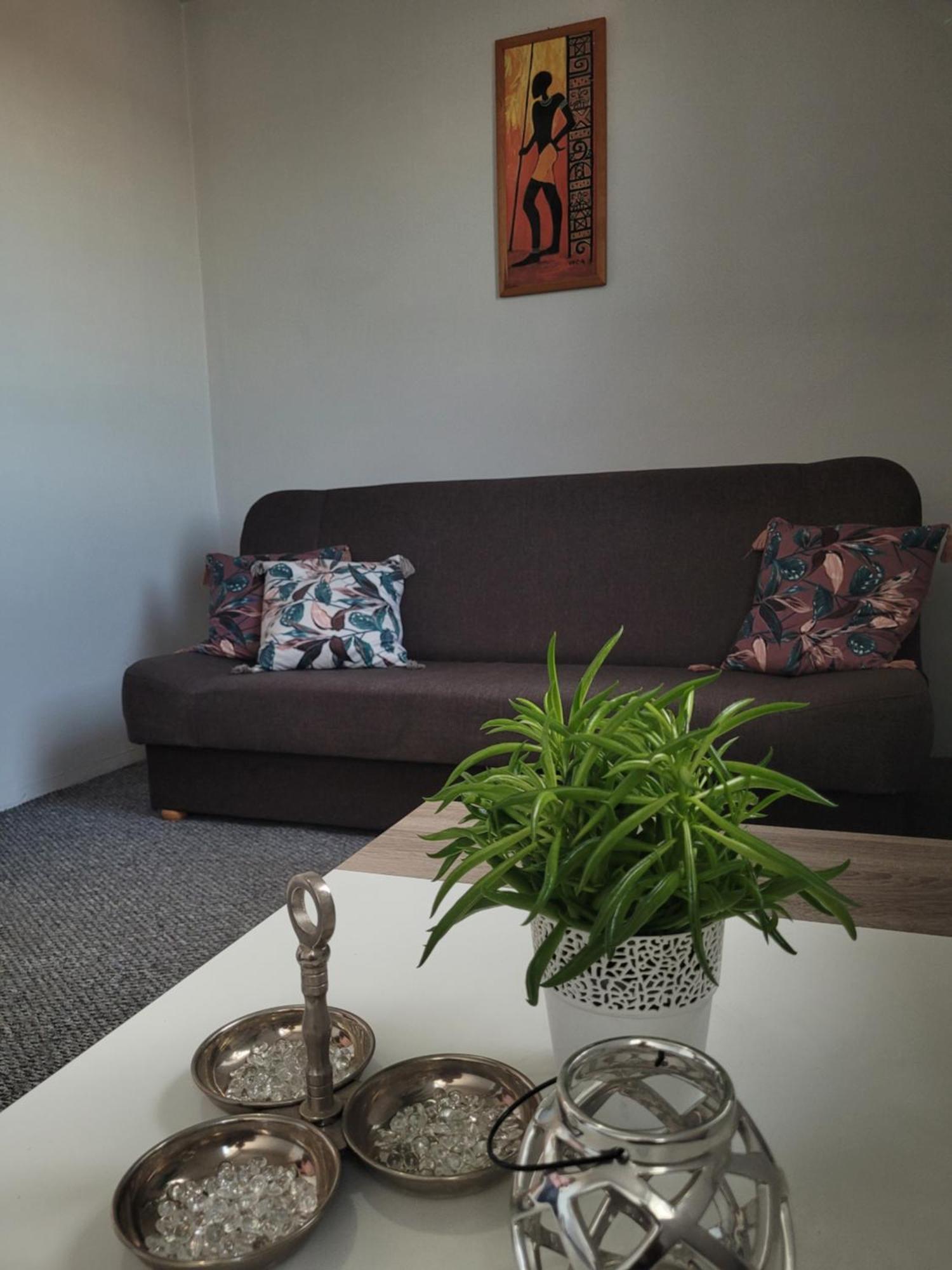 Apartament Zdunska Wloclawek Bagian luar foto